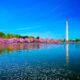 High-Profit DC Metro Area Chiropractic Practice for Sale in MD Suburbs