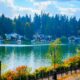 Thriving Chiropractic Practice for Sale in Lake Oswego OR