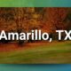 Profitable Chiropractic Practice for Sale in Amarillo, TX