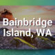 Turnkey Chiropractic Practice for Sale–Bainbridge Island, WA