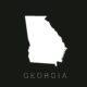 EASTMAN, GA PRACTICE FOR SALE: 