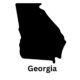Calhoun Georgia Chiropractic Practice & Building for Sale