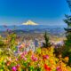 Affordable SE Portland OR Area Chiropractic Practice for Sale