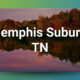 Chiropractic Practice for Sale in Memphis Suburb, TN