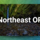 For Sale: Northeast OR Clinic with Associate Buyout Option