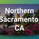 Northern Sacramento, CA Chiropractic Practice for Sale