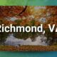 Richmond VA Chiropractic Practice for Sale