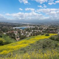 Thumbnail for the listing's main image