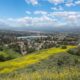 Orange County, CA Chiropractic Practice for Sale