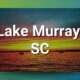 Lake Murray, SC Chiropractic Practice for Sale