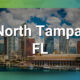 North Tampa FL Chiropractic Practice for Sale