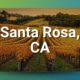 Santa Rosa CA Chiropractic Practice for Sale