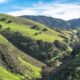 Monterey County, CA Chiropractic Practice for Sale