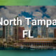 North Tampa FL Chiropractic Practice for Sale