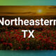 Thriving Northeast TX Clinic with Real Estate + Low Overhead