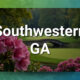 Established 26-Year Chiropractic Practice – SW GA