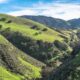 Thriving Chiropractic Practice for Sale in Monterey County, CA
