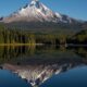 Established Chiropractic Practice for Sale in Vancouver, WA