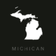 GAYLORD, MI PRACTICE FOR SALE: