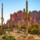 Phoenix, AZ Metro Area Chiropractic Practice for Sale